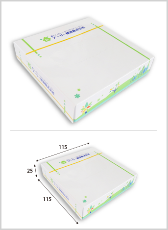 オンデマンド印刷　ポスティング20Ｗオリジナルボックスティッシュ